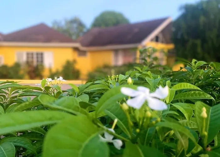 Ironshore Sugarmill W Private Pool * Montego Bay